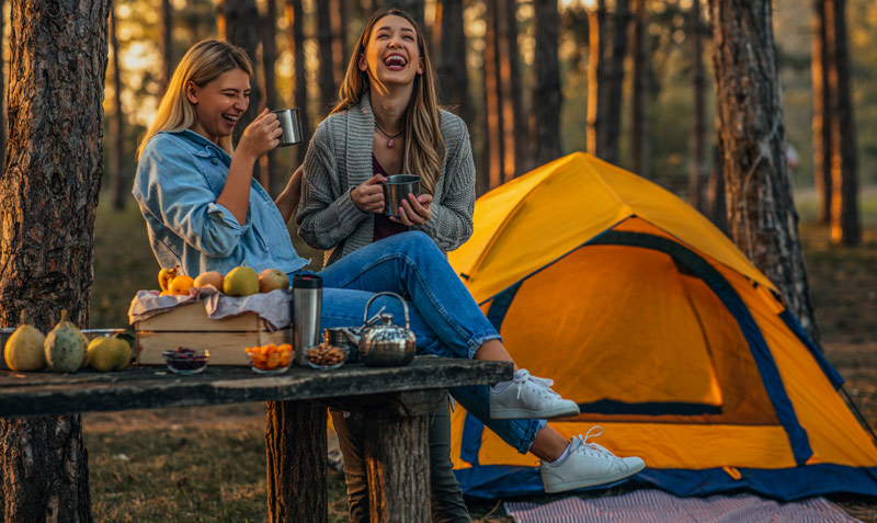 camping cheques-vacances charente maritime