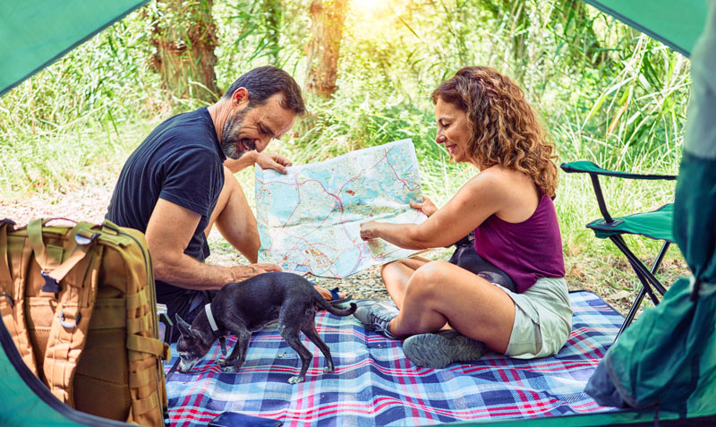 location emplacement saujon