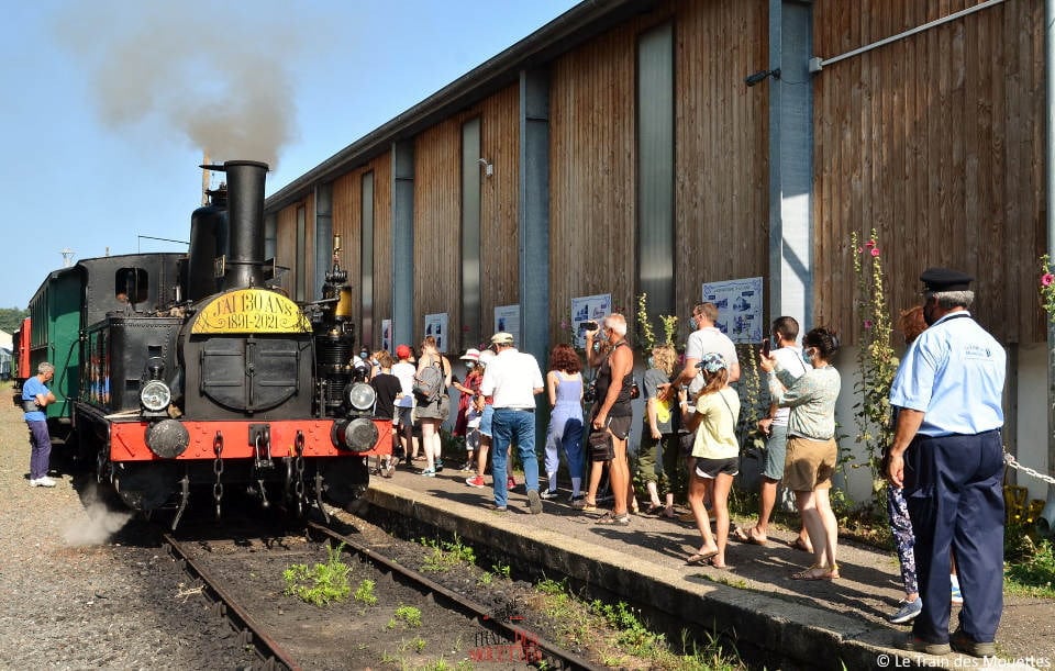 le train des Mouettes entre en gare