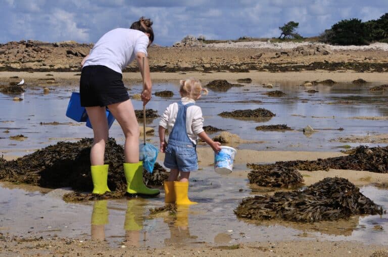 pêche à pied Royan